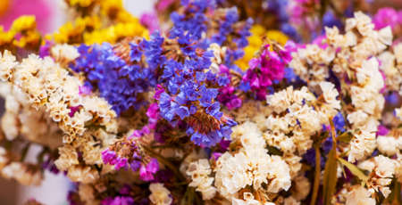 Bouquet of dry small white, blue and yellow flowers, backgroundの写真素材