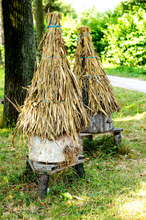 Ancient beehive in a garden under a tree on an apiary