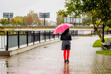 Woman with red umbrella in city park during rainの写真素材