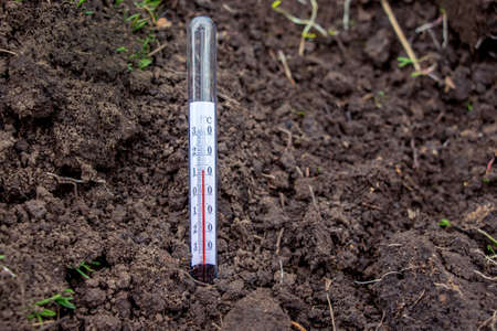 Measurement using a soil temperature thermometer in the spring to determine the readiness of the soil to plant cropsの写真素材