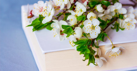 Flowers cherry on a book with a white cover. Reading the book in the spring