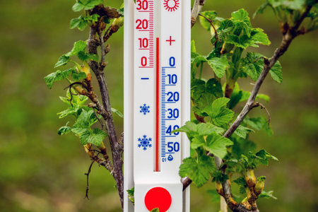 Measurement with a thermometer of air temperature in the street in the spring. Air temperature in...