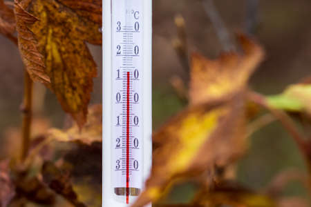 Thermometer on the background of autumn leaves. The temperature in the fallの写真素材