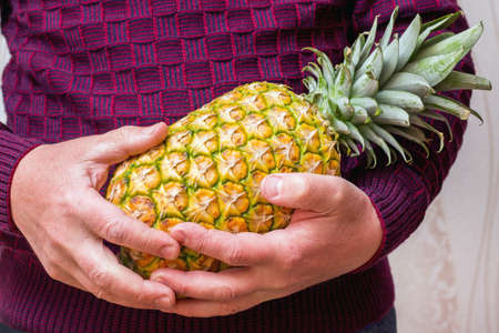 A man holds a ripe tasty pineapple in his handsの写真素材