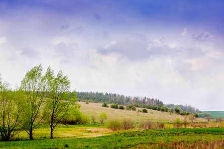 Summer landscape in countryside with trees in the field and the sky with rainy cloudsの写真素材