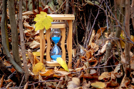 Sands clock in the autumn forest among trees and dry leaves. Autumn time. Autumn came