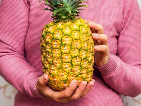 A woman holds a ripe yellow pineapple in her handsの写真素材