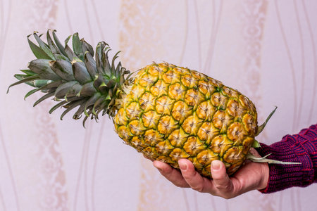 A man holds a ripe tasty pineapple in his hand