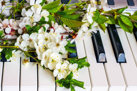 Beket of apricot flowers and cherry on the piano keys