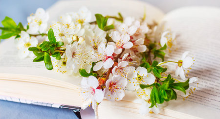 Flowers of cherries and apricots on an open bookの写真素材