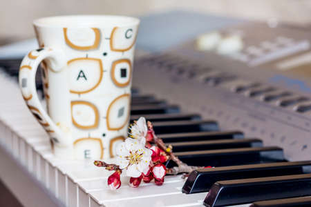 Branch of apricot with flowers and a cup of hot coffee on the piano keysの写真素材