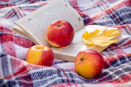 Red juicy apples and a yellow maple leaf near an open book in the woodsの写真素材