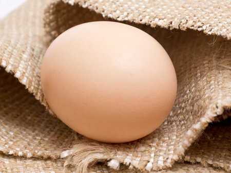Fresh chicken egg lays on a rough sack