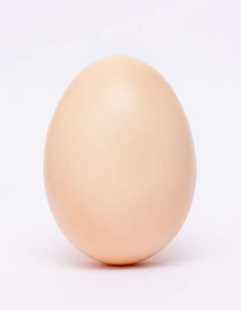 Chicken egg in a vertical position on a white isolated background. Vertical formatの写真素材