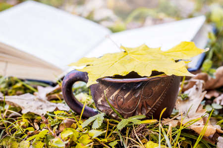 Maple yellow leaf on a cup of coffee near the open book in the autumn forestの写真素材