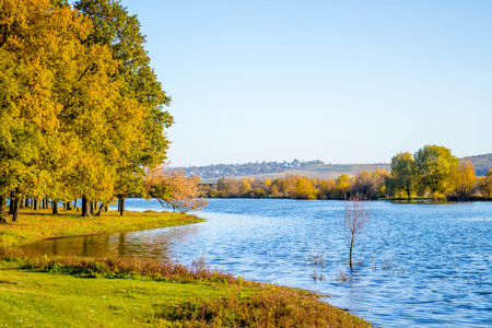 Autumn landscape with a river and forest in sunny weather