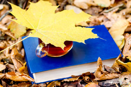 A cup of tea on a book in the autumn forest is covered with a yellow maple leafの写真素材