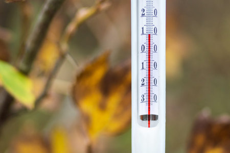 The thermometer in the autumn blurred background shows 10 degrees of heat. Autumn temperature