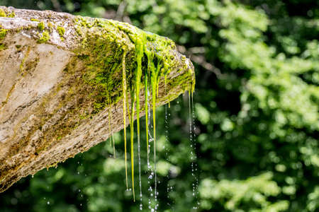 Water flows from a stone bowl of an ancient fountainの写真素材