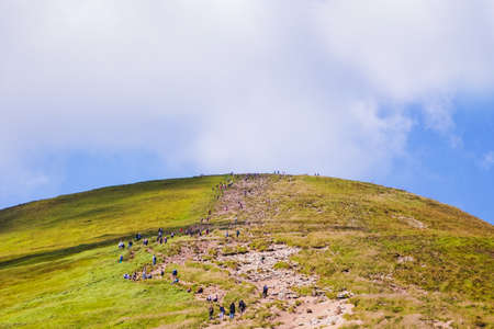 Tourists go the mountain trail to the top of the mountain. Hoverla conquest in the Ukrainian Carpathiansの写真素材