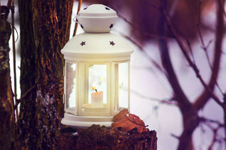 Lantern with candle in forest near tree in evening. Christmas night in the forest with lantern lightの写真素材