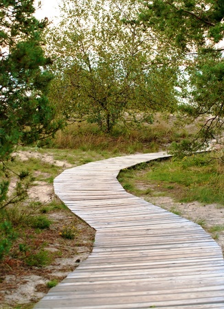 Path to the beachの写真素材