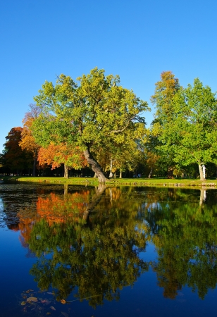Autumnの写真素材