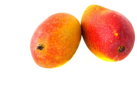 Two mango fruitsの写真素材