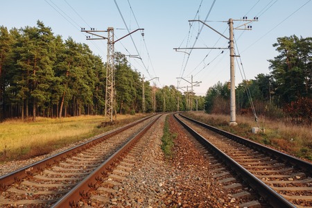 Straight railway track line in forest  curving in background leading in unknownの写真素材
