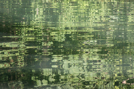 A nice green reflection in the water of a river