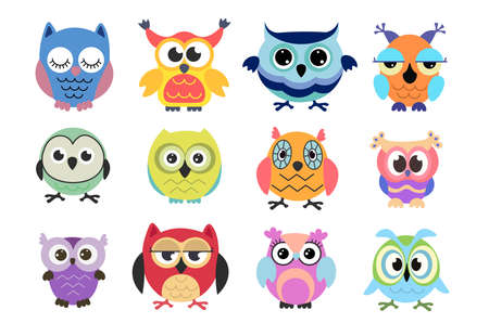 Set of cute colorful owls on white background. Vector illustration beautiful birds of prey with colorful feathers and funny big eyes in flat style.のイラスト素材