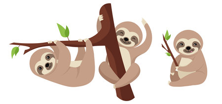 Vector illustration cute and beautiful sloth on white background. Charming character in different poses with holding on to a branch and a tree, cute sitting with a branch in cartoon style.のイラスト素材