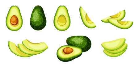 Set of fresh green avocado in cartoon style. Vector illustration of vegetables whole and cut into slices and halves on white background.のイラスト素材