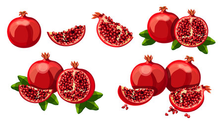 Set of fresh red pomegranates in cartoon style. Delicious pomegranate with green leaves. Vector illustration of whole and cut fruits, big and small sizes on white background.のイラスト素材