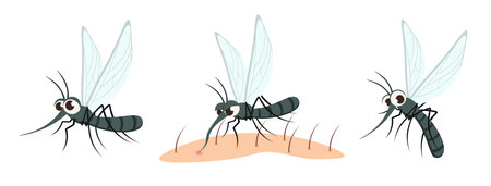 Vector illustration of a cute and beautiful mosquito on white background. Charming characters in different poses stand calm, sit down to drink blood on the body, flies in cartoon style.のイラスト素材