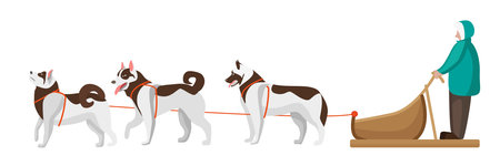 Vector illustration of dog sledding. Cartoon scene with dog sledding in the north by Eskimos.のイラスト素材