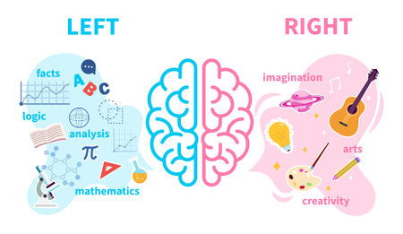 Vector illustration of the right and left hemispheres of the brain. Cartoon scenes of the left hemisphere of the brain: facts, logic, analysis, mathematics; rights: imagination, art, creativity.のイラスト素材