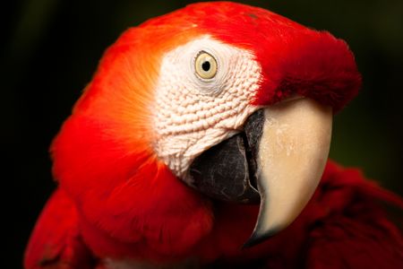 Hey good lookin'!の写真素材