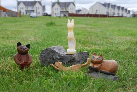 four catsの写真素材