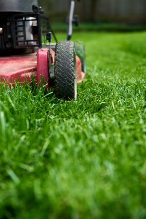 Low angle close up of lawnmower cutting fresh green grassの写真素材