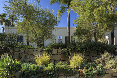 Various native and common garden plants in the yard of a southern california homeの写真素材