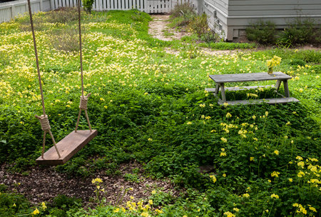 Peaceful front yard with wildflowers, a wood table and a rope swing hanging from a tree in...