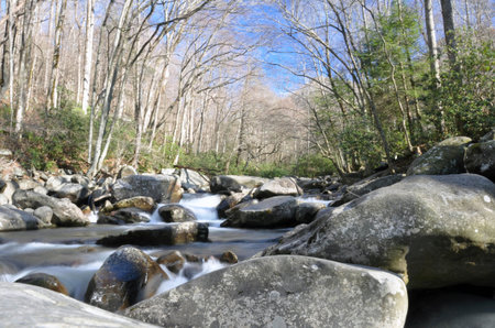 Rocky Mountain Stream 