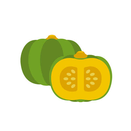 vegetable japanese pumpkin, half cut(vector)のイラスト素材