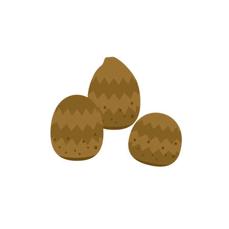 vegetable taroのイラスト素材