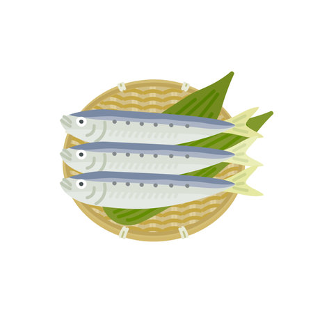 Autumn/winter fish: Sardines placed in a colander lined with bamboo leavesのイラスト素材