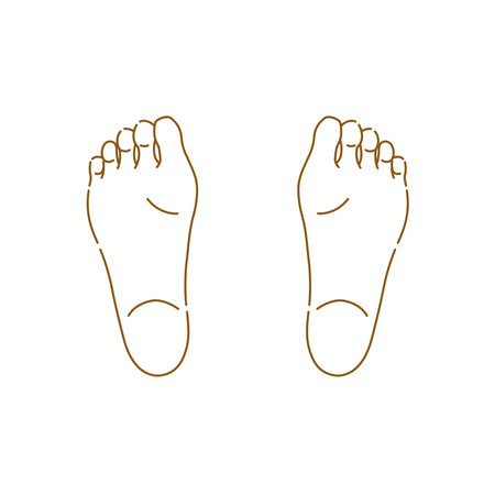 Female feet: illustration of soles of feet (both feet)のイラスト素材