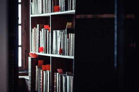 old books on wooden shelf in Austrian National Library, wien