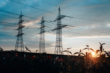 High voltage tower in green field in front of flower at the evening in sunsetの写真素材
