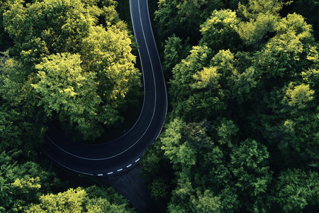 street between large trees from top with drone aerial view, landscape